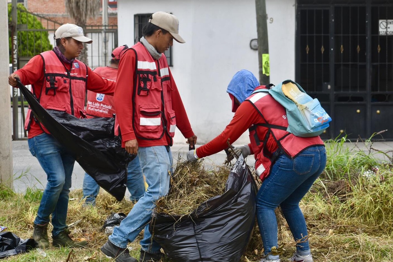 Intensifican labores de limpieza tras repunte de maleza en la ciudad ...
